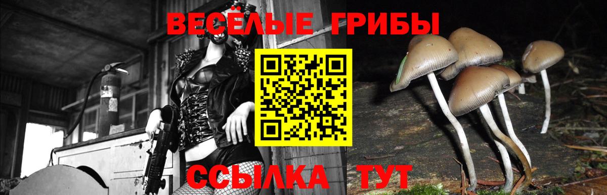Галлюциногенные грибы ЛСД  Вход с VPN  Галлюциногенные грибы прущие грибы  Ипатово 